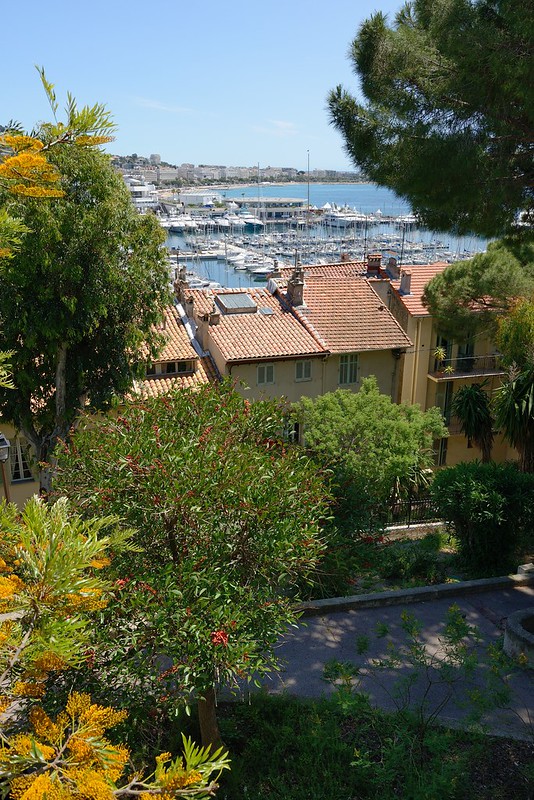 1087-20160524_Cannes-Cote d'Azur-France-view ESE across Cannes Marina from from Rue du Mont Chevalier whilst descending through Old Town<br/>© <a href="https://flickr.com/people/25326534@N05" target="_blank" rel="nofollow">25326534@N05</a> (<a href="https://flickr.com/photo.gne?id=33105759442" target="_blank" rel="nofollow">Flickr</a>)