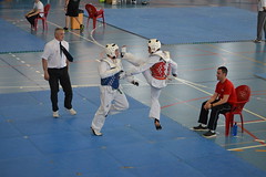Trofeo Federación Catalana de Taekwondo 2013