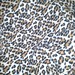Cheetah pattern • <a style="font-size:0.8em;" href="http://www.flickr.com/photos/67520151@N03/8897387444/" target="_blank">View on Flickr</a>