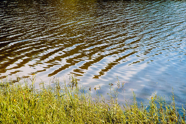 Lake Monroe - Allen's Creek - July 2013