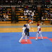 CEU Taekwondo 2006 • <a style="font-size:0.8em;" href="http://www.flickr.com/photos/95967098@N05/9039439009/" target="_blank">View on Flickr</a>