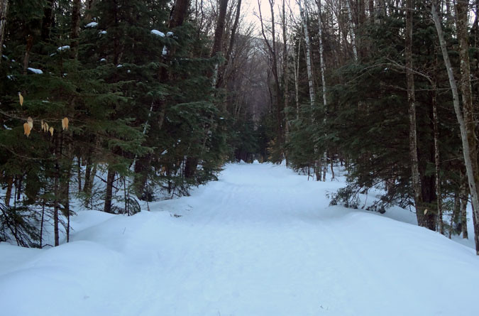 Lincoln Woods Trail in Winter