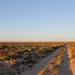 Houthoop, Kleinzee, Namaqualand, Northern Cape, South Africa