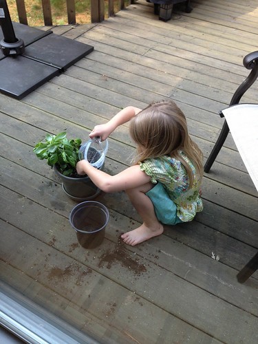 Planting Basil • <a style="font-size:0.8em;" href="http://www.flickr.com/photos/96277117@N00/9348303469/" target="_blank">View on Flickr</a>