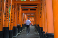 Person walking the Fushimi Inari Shrine