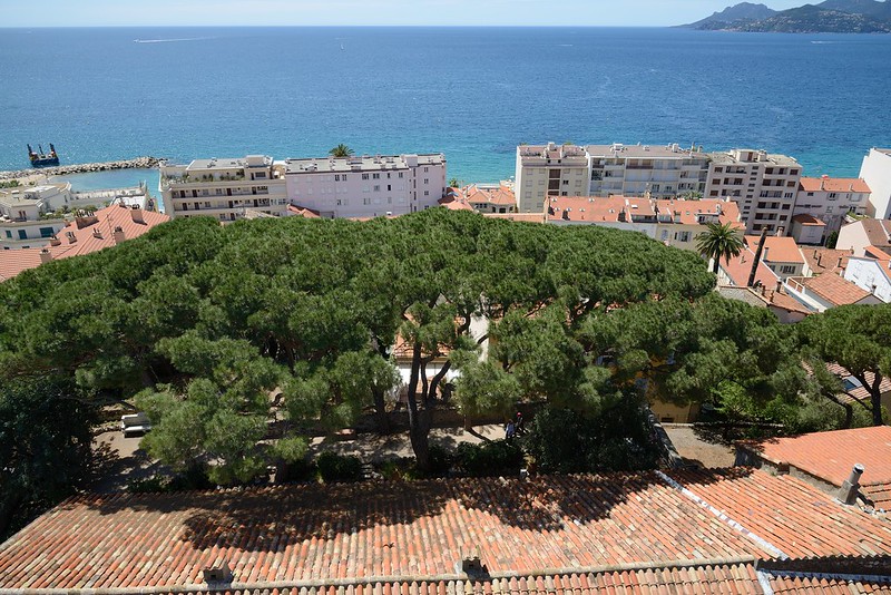 1067-20160524_Cannes-Cote d'Azur-France-panoramic view from top of Tour de Suquet (Old Town)-photo 1 of 8-view SSW<br/>© <a href="https://flickr.com/people/25326534@N05" target="_blank" rel="nofollow">25326534@N05</a> (<a href="https://flickr.com/photo.gne?id=33105713512" target="_blank" rel="nofollow">Flickr</a>)