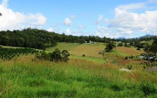 LOT 3 Peppertree Grove, Congarinni NSW