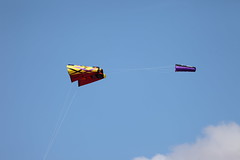 Royston Kite Festival 2014