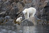26 Raudfjorden, Svalbard 2014 • <a style="font-size:0.8em;" href="http://www.flickr.com/photos/36838853@N03/14920102678/" target="_blank">View on Flickr</a>