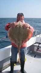 Barry Moore's 14lb Undulate Ray caught off Alderney • <a style="font-size:0.8em;" href="http://www.flickr.com/photos/113772263@N05/15000293769/" target="_blank">View on Flickr</a>