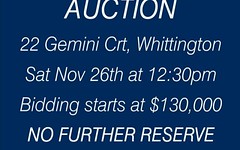 22 Gemini Court, Whittington VIC