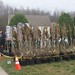 2017-03-11 Tree Planting (8)