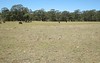 Lot 3, New Street, Mulbring NSW