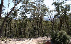 Captains Flat Road Via Bendoura, Braidwood NSW