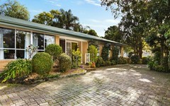 40a Campbell Avenue, Normanhurst NSW