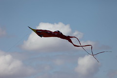 Royston Kite Festival 2014