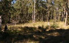 Lot 2 Spring Creek Road, Wards River NSW