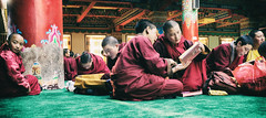 Buddhism Academy images