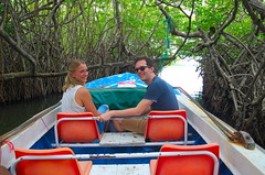 In de mangrove