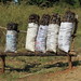 You can buy these 25Kg bags of charcoal along the roadside in Mozambique and Malawi. • <a style="font-size:0.8em;" href="http://www.flickr.com/photos/50948792@N02/14417207973/" target="_blank">View on Flickr</a>