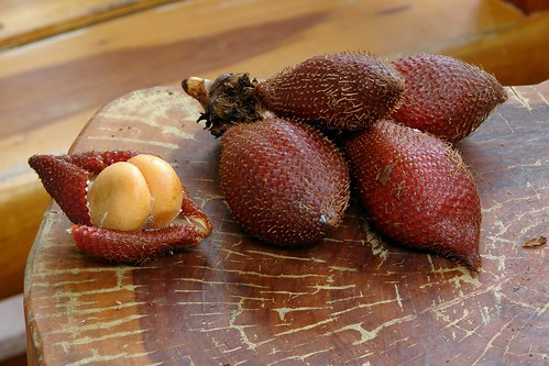Exotic fruit from Thailand - Snake Fruit ( Salak or Rakam - ระกำ )