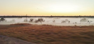 DSC01979 Niebla al amanecer, Villa Ojo de Agua, Santiago del Estero, Argentina (2)