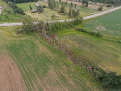 20140712-DJI00398.jpg • <a style="font-size:0.8em;" href="http://www.flickr.com/photos/65051383@N05/14659390963/" target="_blank">View on Flickr</a>