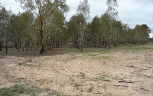 Lot 9 Kerrford Country Estate, Thurgoona NSW