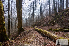 Wandern: Nationalpark-Traumschleife Trauntal-Höhenweg