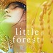 Little Forest (Cartel) • <a style="font-size:0.8em;" href="http://www.flickr.com/photos/9512739@N04/14794861927/" target="_blank">View on Flickr</a>