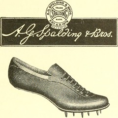Anglų lietuvių žodynas. Žodis court shoe reiškia teismas batų lietuviškai.