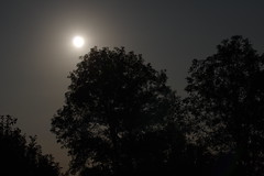 Moonlight - Nuit de la super Lune