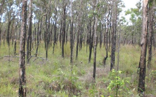 Lot 1 Bruce Highway, Clairview QLD