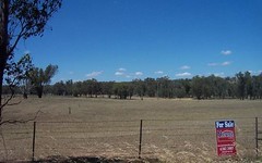 lot 5 Pattersons Lane, Young NSW
