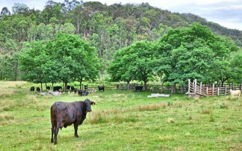 Howes Valley NSW