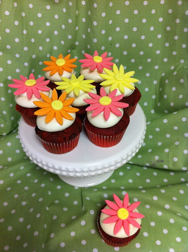 Bright Daisy Cupcakes