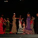 II Festival de Flamenco y Sevillanas • <a style="font-size:0.8em;" href="http://www.flickr.com/photos/95967098@N05/14433501704/" target="_blank">View on Flickr</a>