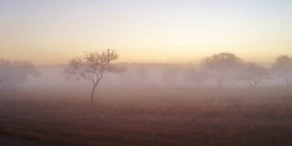 DSC01981 Niebla al amanecer, Villa Ojo de Agua, Santiago del Estero, Argentina (1)