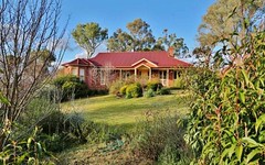 828 Spring Creek Road, Young NSW