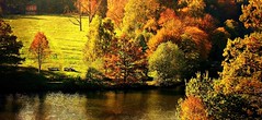 Herbst am Bärensee ,  73069/3995