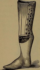 Anglų lietuvių žodynas. Žodis thigh boot reiškia tinklinės įkrovos lietuviškai.