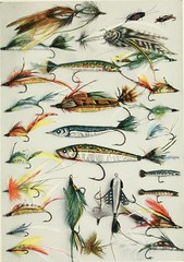 Anglų lietuvių žodynas. Žodis fisherman's lure reiškia žvejo masalą lietuviškai.