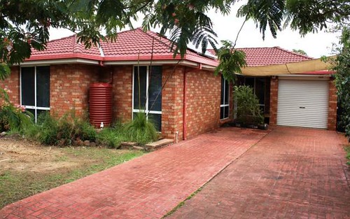 20 Yellowgum Avenue, Rouse Hill NSW