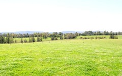 tocal road, Maitland NSW