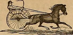 Anglų lietuvių žodynas. Žodis horsecloth reiškia n gūnia lietuviškai.