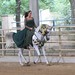 Traditional Arabian Riding 5.pl. Line Moen & Al Khattar W´rsan UAE 1211