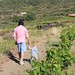 Marco and Giacomo in a local vineyard • <a style="font-size:0.8em;" href="http://www.flickr.com/photos/62152544@N00/14410772801/" target="_blank">View on Flickr</a>