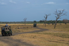 The road to the elephants