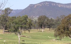 Lot 4 Dunville Loop Rd, Rylstone NSW