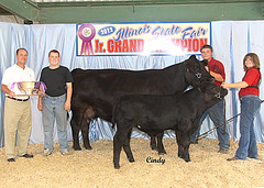 State Fair Performance Aged Cow Grand Champion • <a style="font-size:0.8em;" href="http://www.flickr.com/photos/25423792@N05/14251970558/" target="_blank">View on Flickr</a>